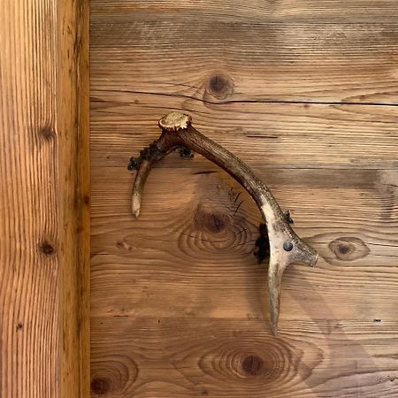 Piccolo Gioiello Di Montagna Apartman Villanova  Kültér fotó