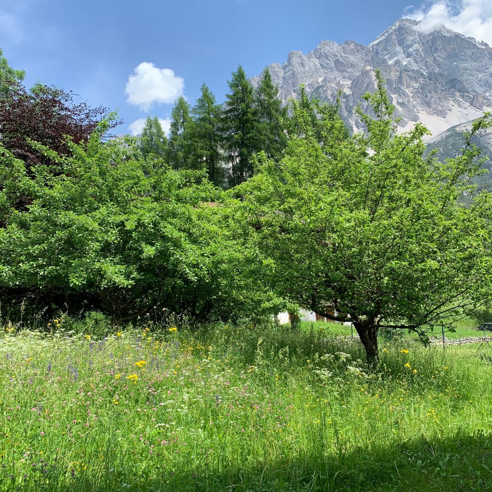 Piccolo Gioiello Di Montagna Apartman Villanova  Kültér fotó